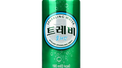 놓치면 후회! 트레비 탄산수 190 최저가 득템 후기 ✨