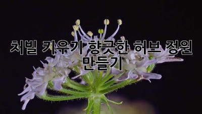 처빌 키우기: 향긋한 허브 정원 만들기